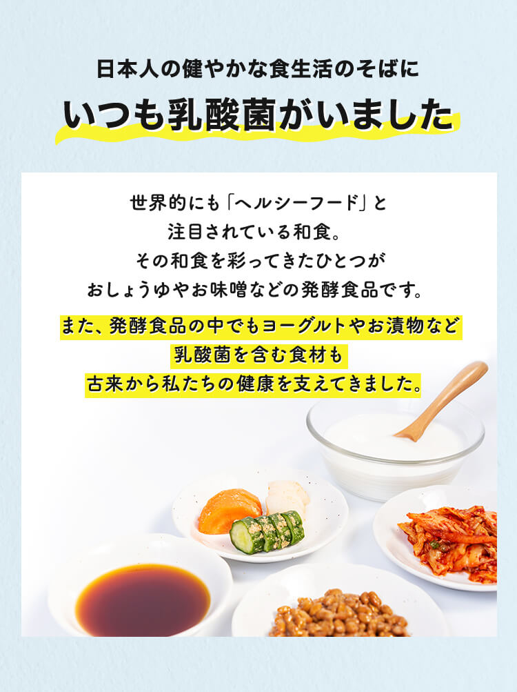日本人の健やかな食生活のそばにいつも乳酸菌がいました