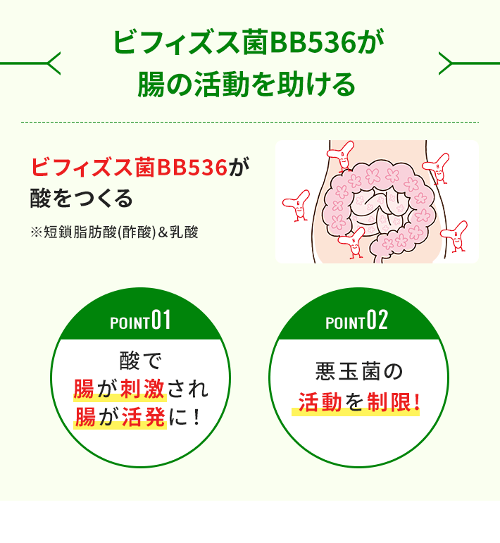 ビフィズス菌BB536が腸の活動を助ける