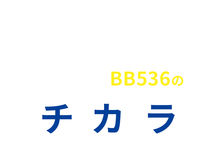 続けることで実感!ビフィズス菌BB536のチカラ