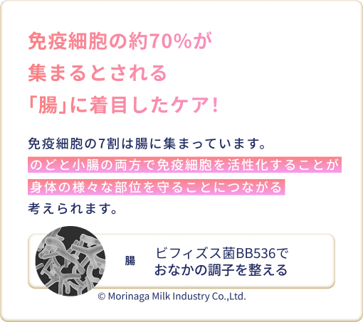 「腸」に着目した免疫ケア