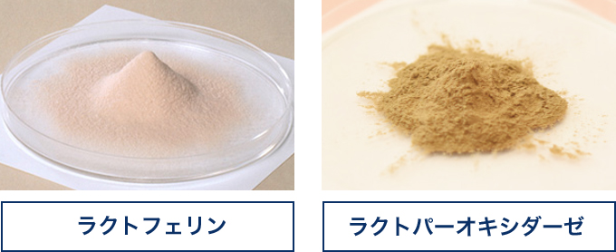 ラクトフェリン ラクトパーオキシダーゼ