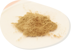 ラクトパーオキシダーゼ