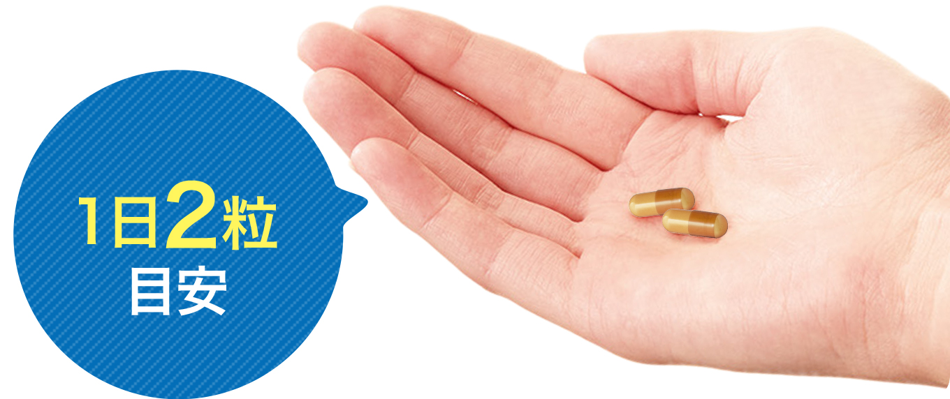 飲みやすい小さなカプセル毎日2粒目安