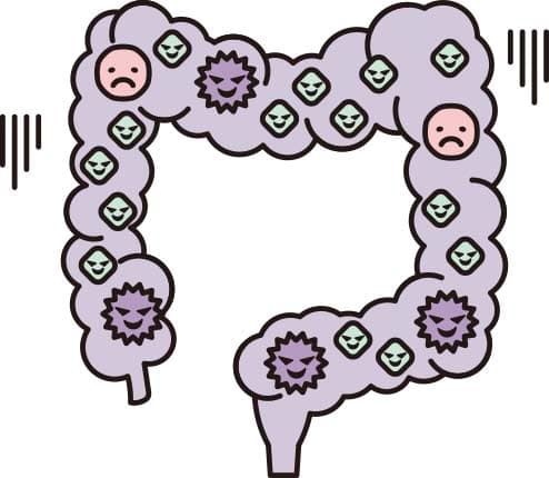 悪いバランスの腸内