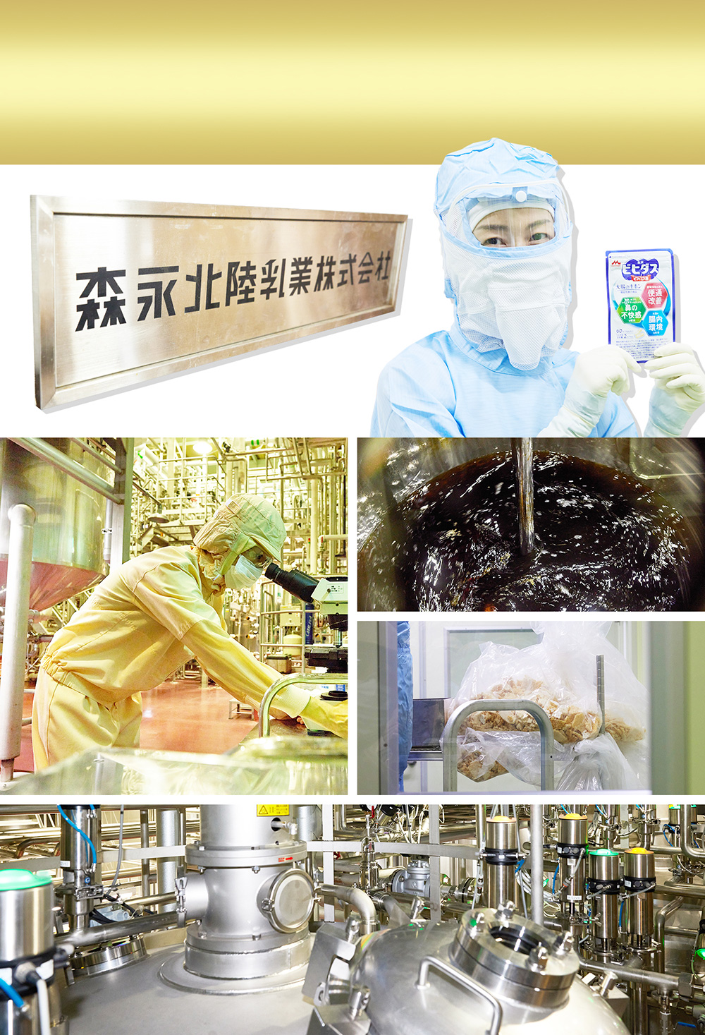 森永乳業グループで責任を持ってビフィズス菌の製造工場を完備