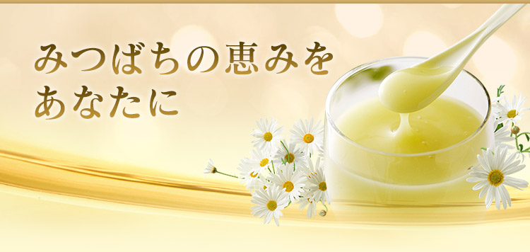 みつばちの恵みをあなたに