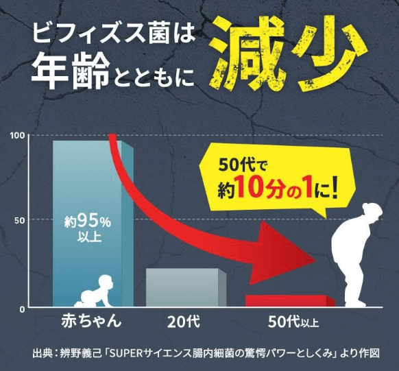 ビフィズス菌は年齢とともに減少