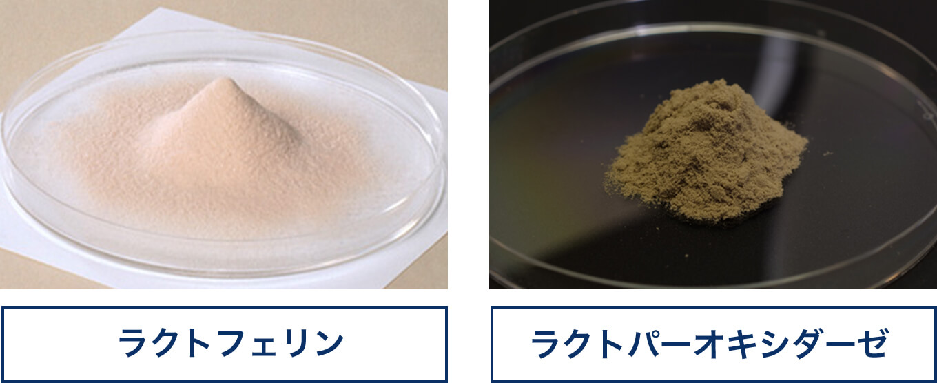 ラクトフェリン ラクトパーオキシダーゼ