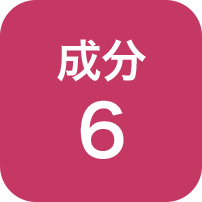 成分6