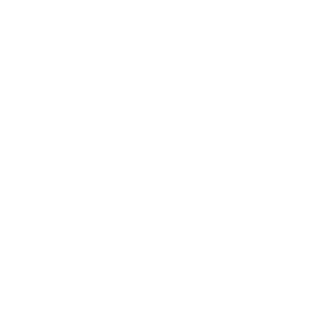 CHRONIC FATIGUE