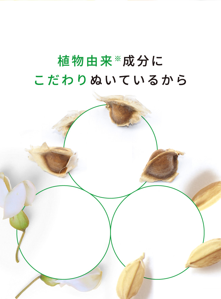 全て植物由来成分にこだわりぬいているから