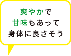 さわやかで甘みもあって身体にも良さそう