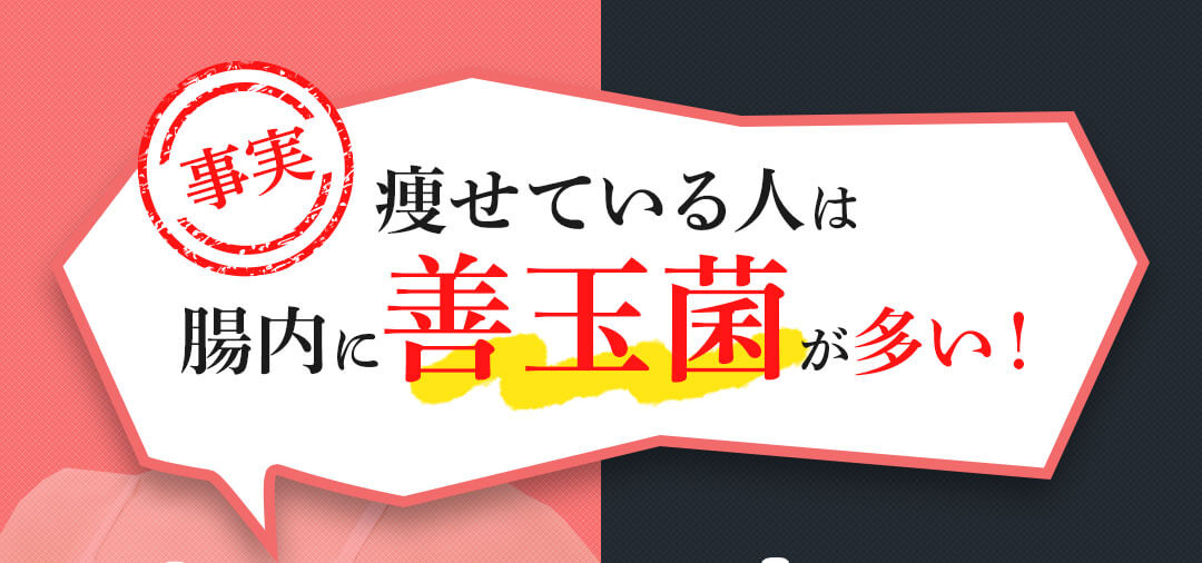 痩せている人は腸内に善玉菌が多い!