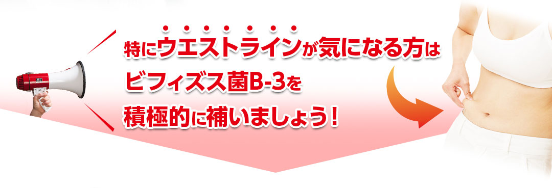 特にウエストラインが気になる方はビフィズス菌B-3を積極的に補いましょう!