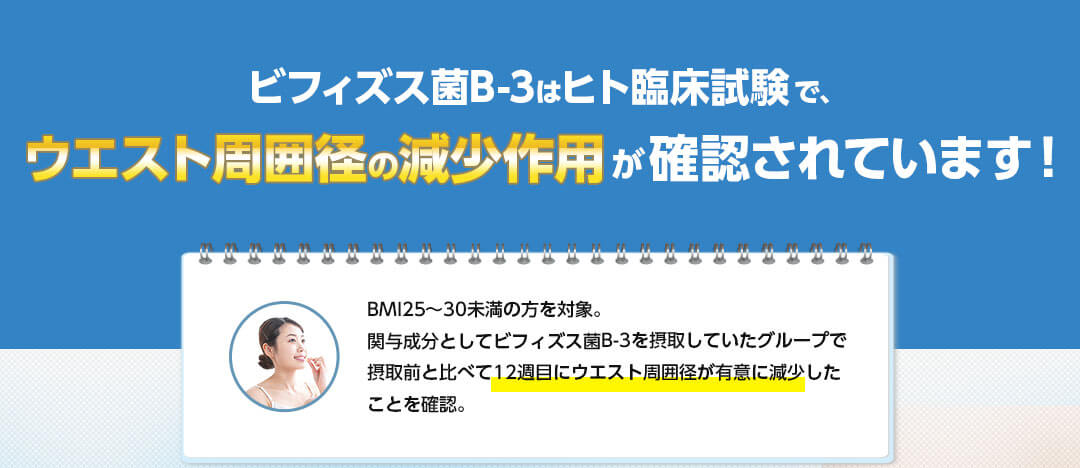 ビフィズス菌B-3はヒト臨床試験で、ウエスト周囲径の減少作用が確認されています!