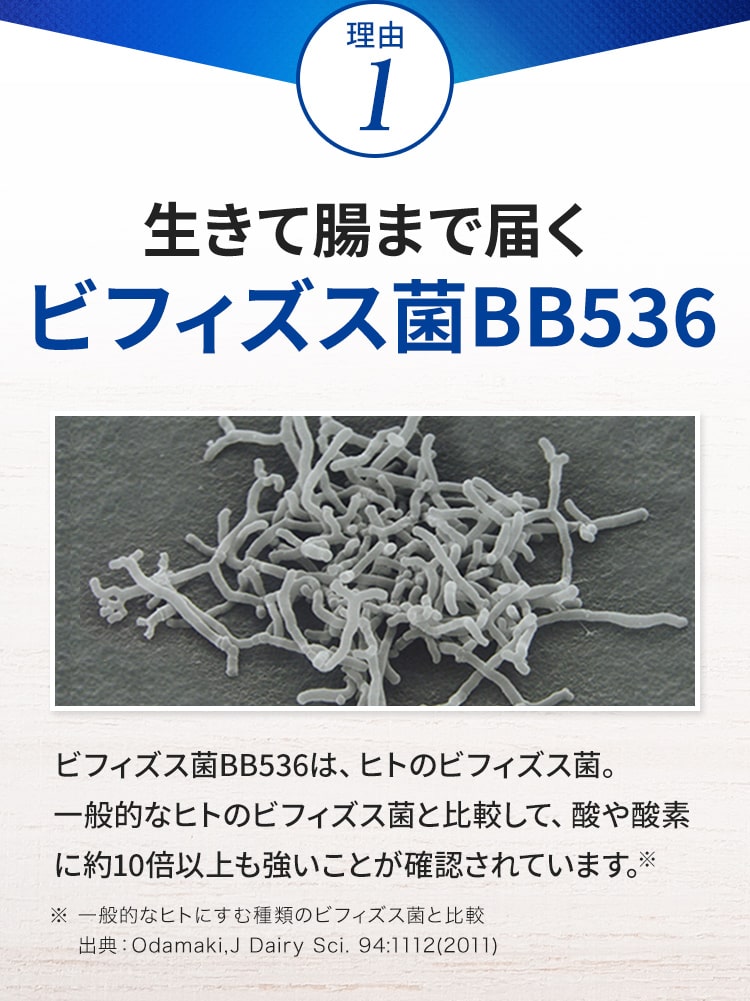 理由1 生きて腸まで届くビフィズス菌BB536