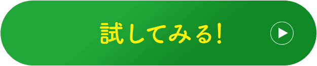 試してみる！