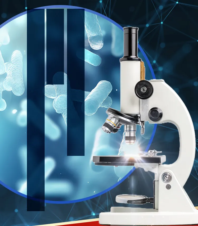 記憶力に維持にも役立つ働きを持つメモリービフィズス菌を特定!