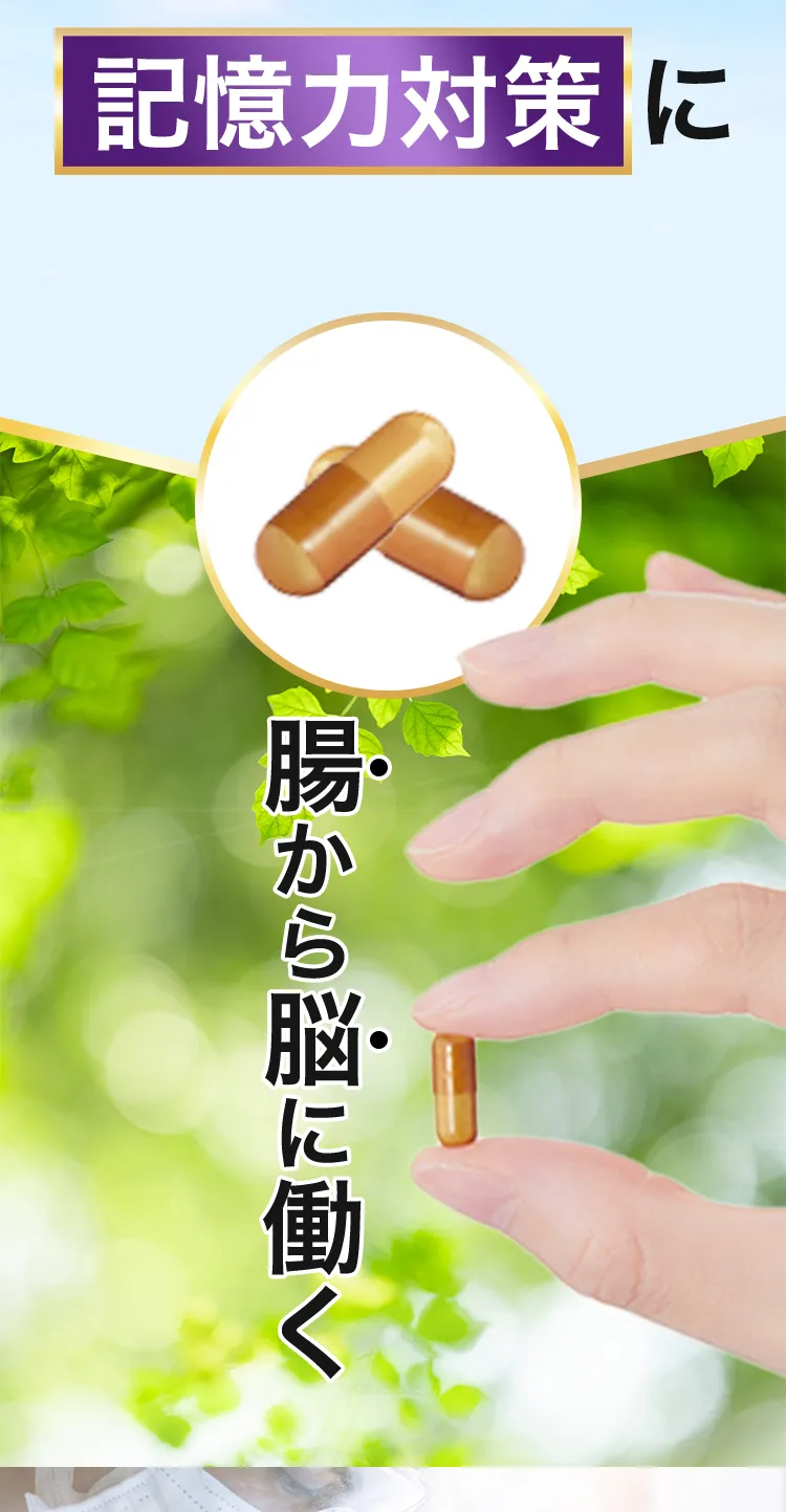 記憶力対策に1日目安2粒。腸から脳に働くかんたん新習慣