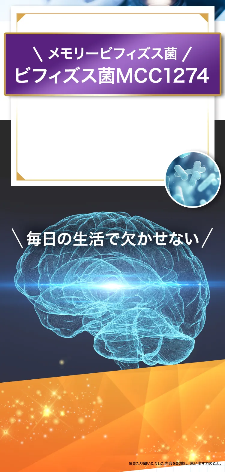メモリービフィズス菌、ビフィズス菌MCC1274、脳に働きかける画期的なビフィズス菌として報告。