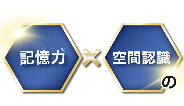 毎日の生活に欠かせない記憶力と空間認識の