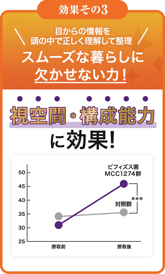 目からの情報を頭の中で正しく理解して整理。スムーズな暮らしに欠かせない力!