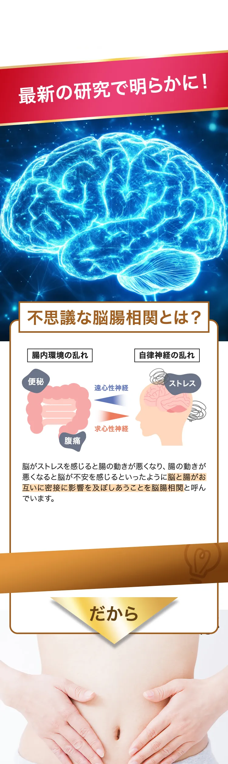 知っていますか?最新の研究で明らかに!腸と記憶力が関係している⁉不思議な脳腸相関とは?