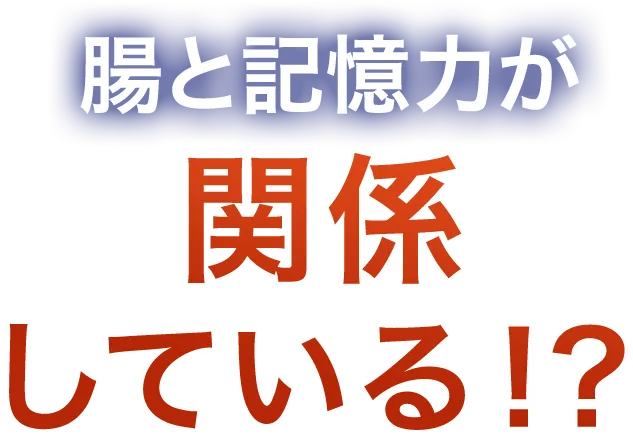 腸と記憶力が関係している⁉