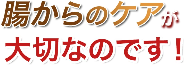 腸からのケアが大切なのです!