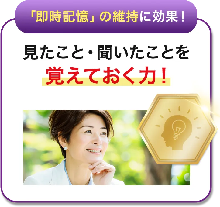 「即時記憶」の維持に効果!見たこと・聞いたことを覚えておく力!