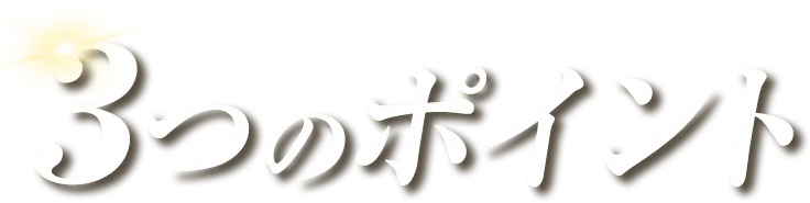 3つのポイント