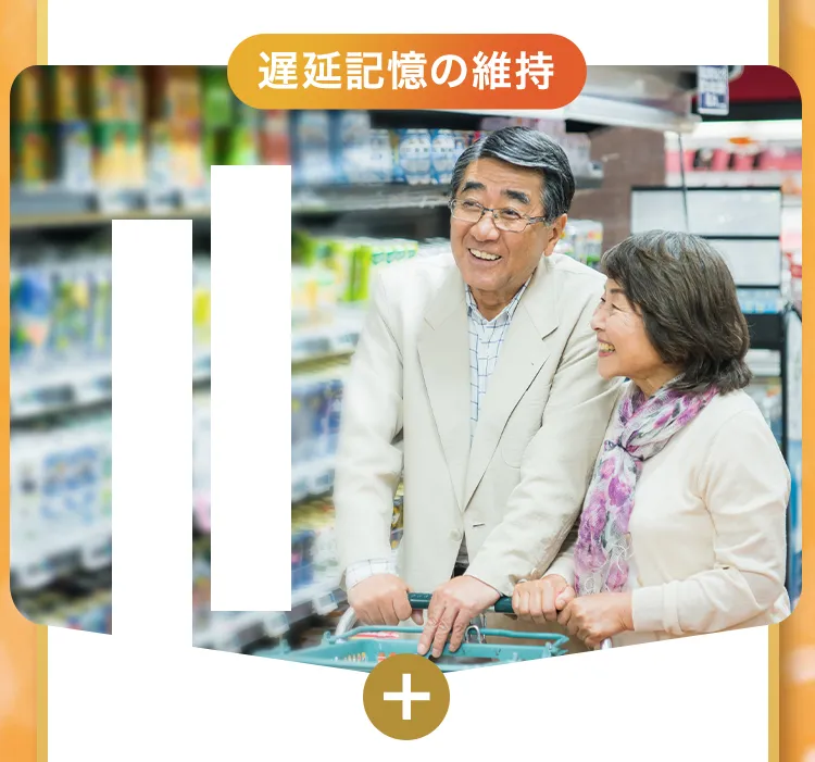 遅延記憶の維持