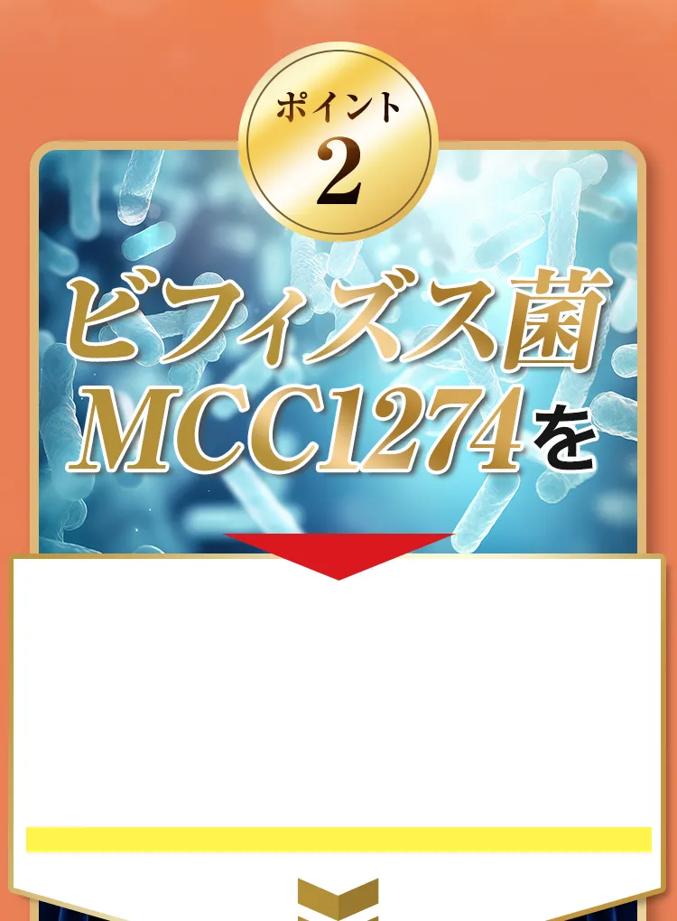 ビフィズス菌MCC1274を生きたまましっかり届ける!