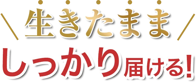 生きたまましっかり届ける!