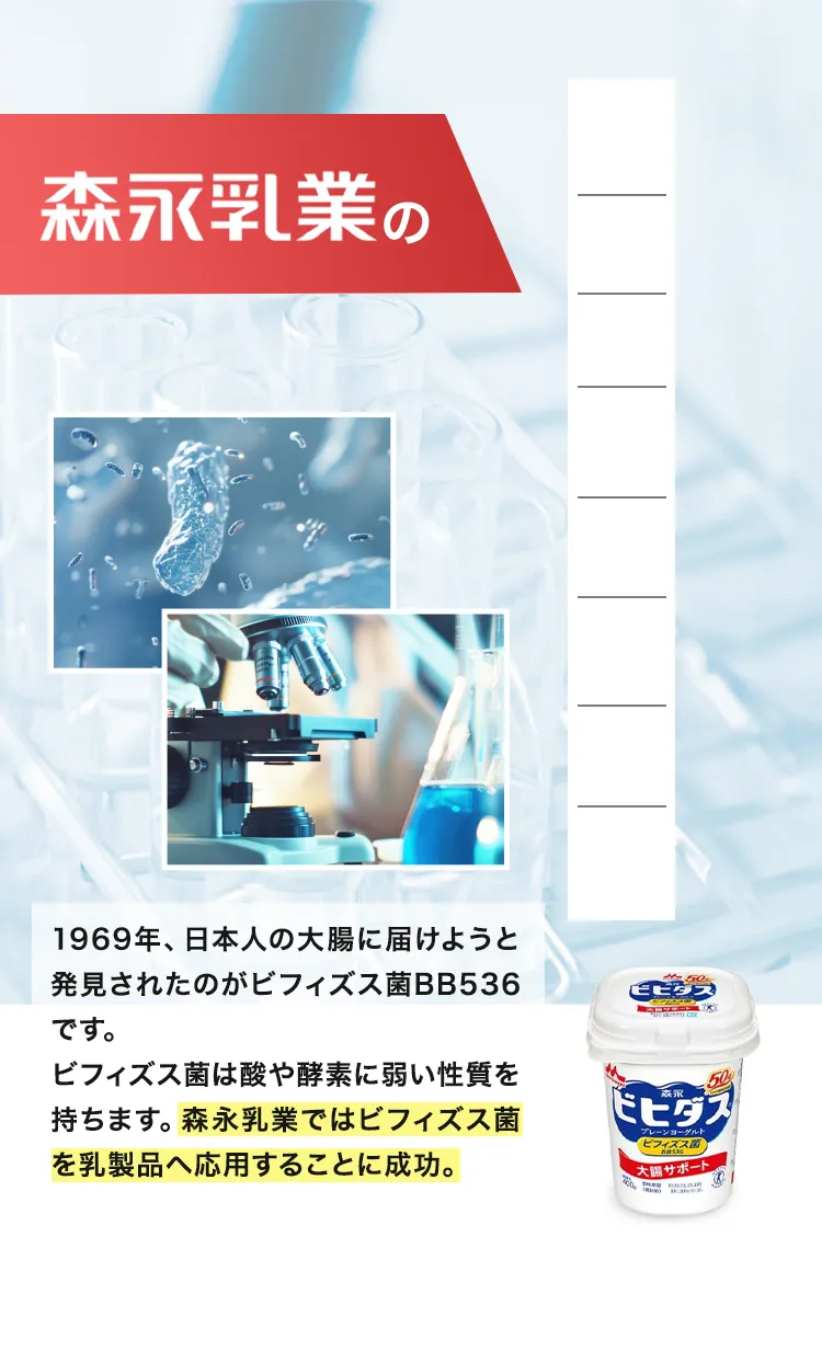 50年にわたるビフィズス菌研究