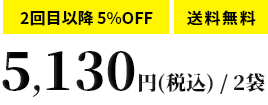 2回目以降 5%OFF 送料無料