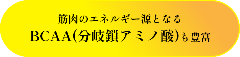 筋肉のエネルギー源となるBCAA(分岐鎖アミノ酸)も豊富