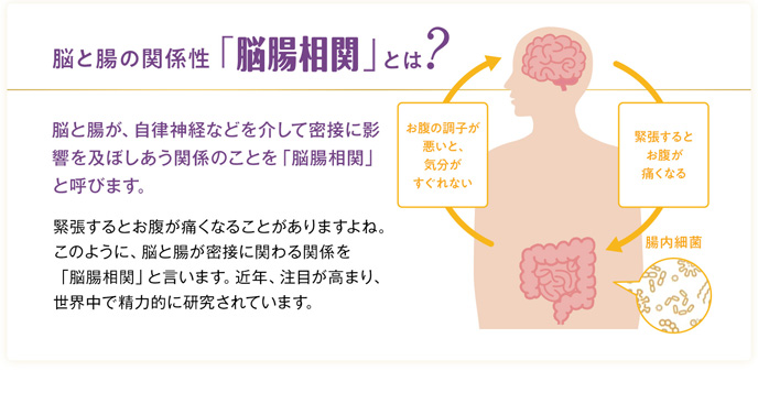 脳と腸の関係性「腸脳相関」とは？